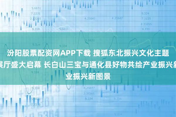 汾阳股票配资网APP下载 搜狐东北振兴文化主题城市展厅盛大启幕 长白山三宝与通化县好物共绘产业振兴新图景
