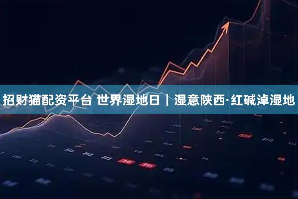 招财猫配资平台 世界湿地日｜湿意陕西·红碱淖湿地