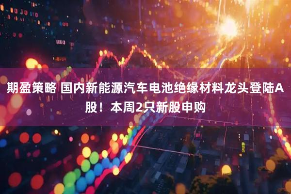 期盈策略 国内新能源汽车电池绝缘材料龙头登陆A股！本周2只新股申购