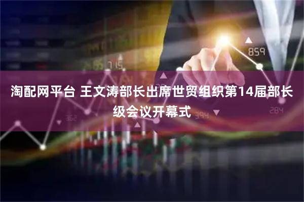 淘配网平台 王文涛部长出席世贸组织第14届部长级会议开幕式