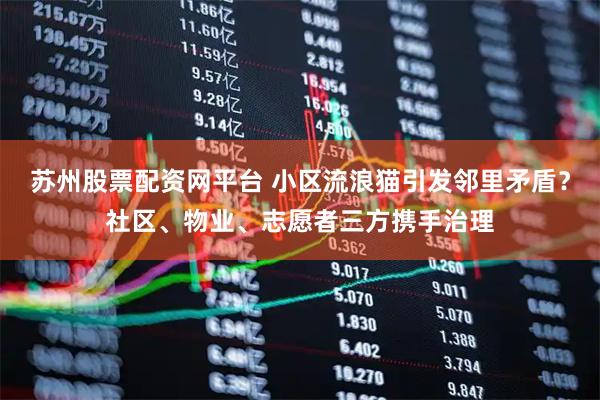 苏州股票配资网平台 小区流浪猫引发邻里矛盾？社区、物业、志愿者三方携手治理